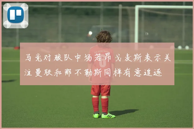 马竞对狼队中场若昂戈麦斯表示关注曼联和那不勒斯同样有意追逐