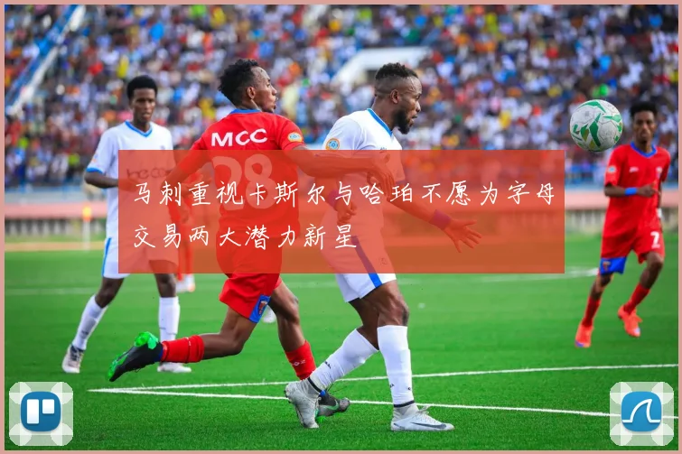 马刺重视卡斯尔与哈珀不愿为字母交易两大潜力新星