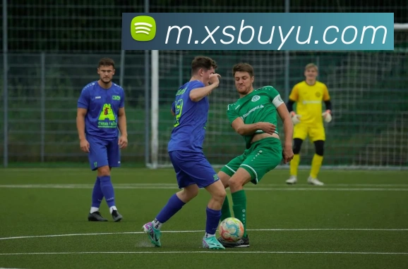 线上捕鱼平台平台生态图